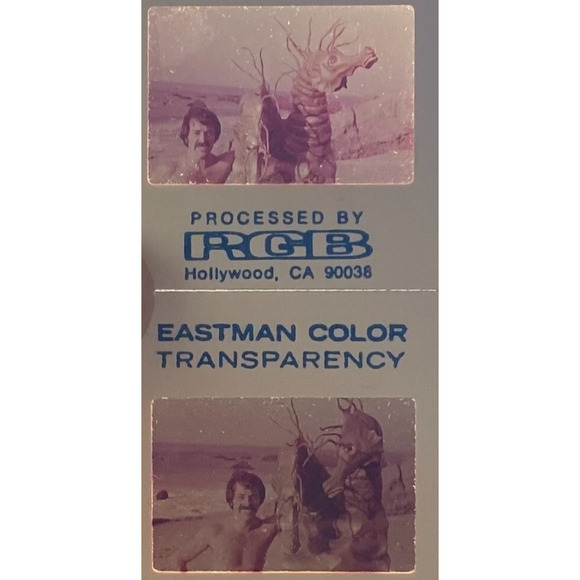 Vintage 1977 Man From Atlantis Actor Patrick Duffy 35mm SLIDE Lot Dallas 13B - Picture 3 of 4